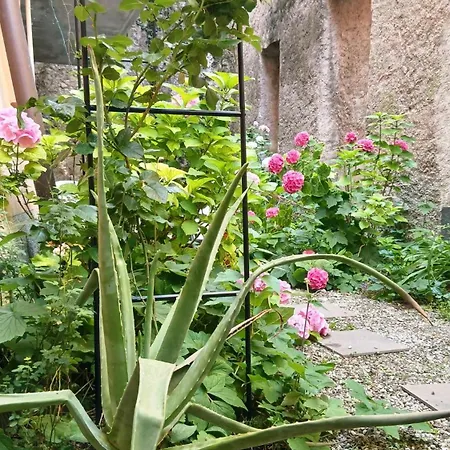 Casa Rosa - Hidden Garden With View Holiday home Fiumelatte
